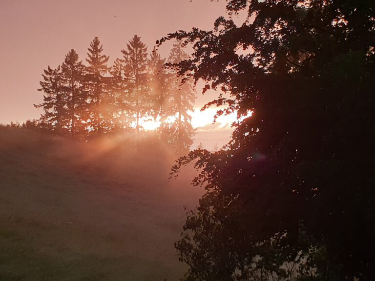 Fotos vom Schwarzwald